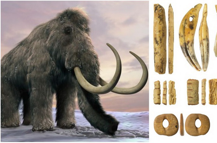 Мамонтов во времена палеолита водилось много, а потому и недостатка в его костях и бивнях не было. Справа - изделия из кости, найденные в Денисовой пещере.