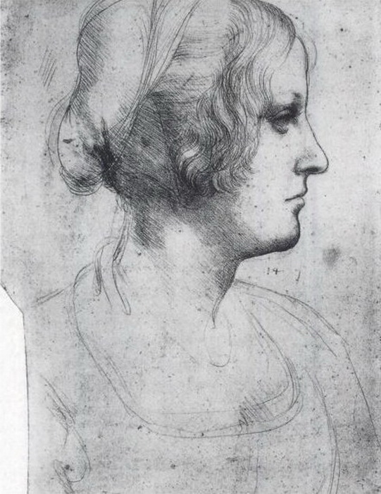 Между одним из рисунков Леонардо и «Портретом Бьянки Сфорца» прослеживается явное сходство