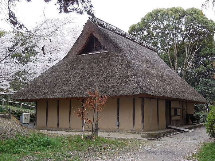 В наши дни традиционный японский дом можно увидеть в сельской местности