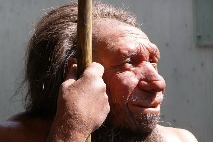 Неандерталец, реконструкция облика
