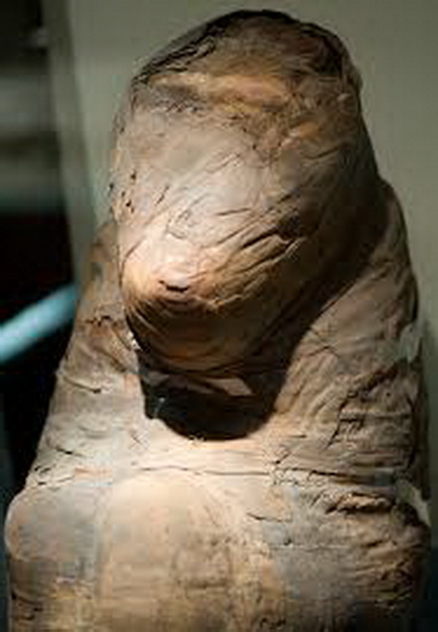 Одна из мумий бабуина - животного, привезенного в Египет из страны Пунт