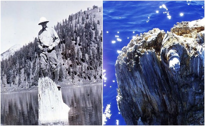 Существование бревна было зафиксировано геологом Диллером в 1896 году, когда же оно появилось в озере - неизвестно
