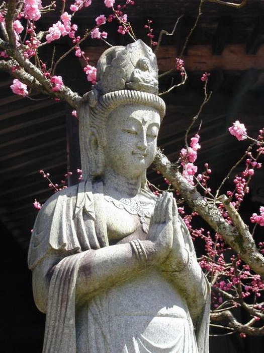 Кудара Каннон - японская богиня милосердия