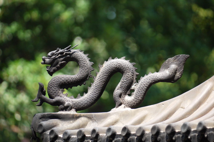 Змея во многих культурах - особенный персонаж мифологии, ее истинное имя табуировано, отсюда, возможно, и появление ряда змееподобных персонажей