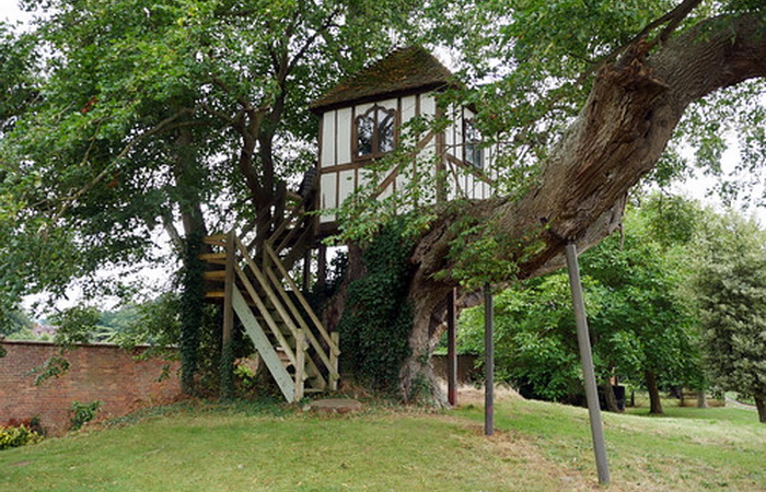 Домик на дереве в поместье Питчфорд - самый старый. Источник: pinterest.com