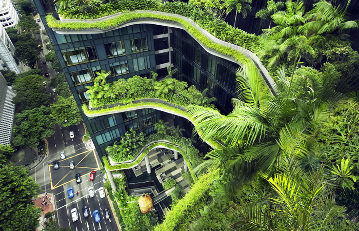 Озеленение в Сингапуре осуществляется сразу во всех направлениях. Источник: archdaily.com