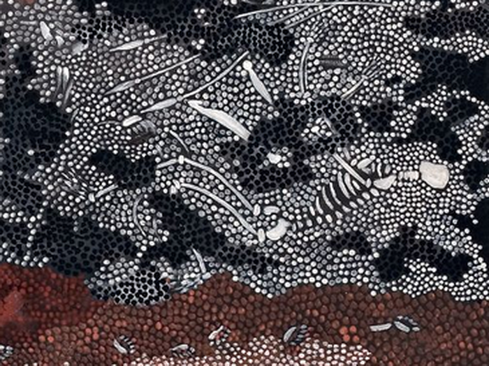 Тайны живописи австралийских аборигенов