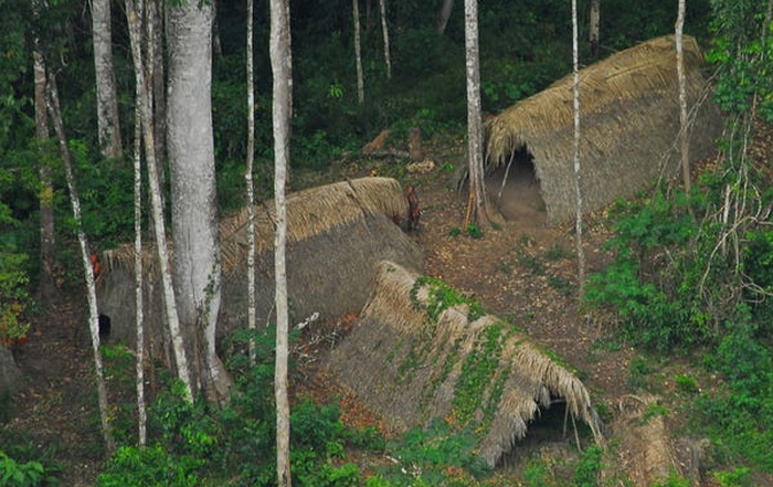 В Бразилии недавно было обнаружено еще одно неконтактное племя. Источник: businessinsider.com