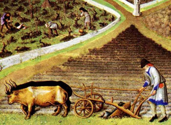 Так выглядела деревенская жизнь в Англии XII века
