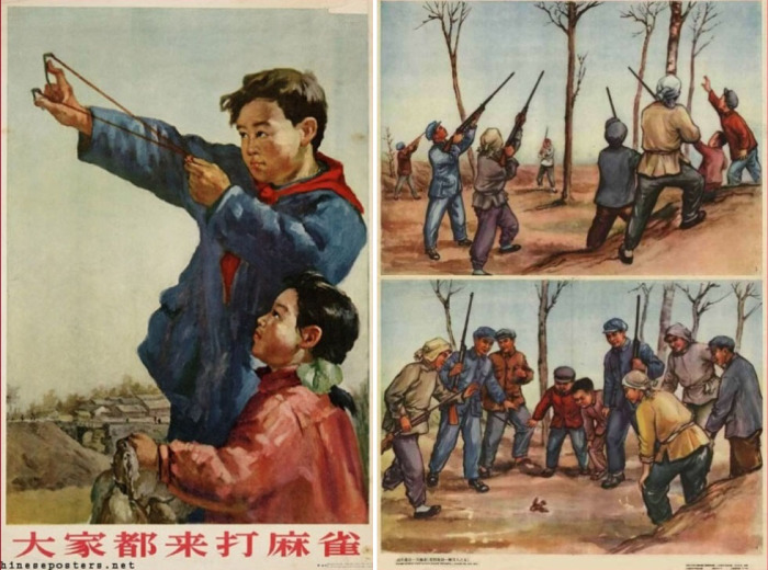 Плакаты «Все на борьбу с воробьями!», Китай, 1956 год