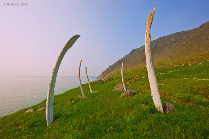 Китовая аллея – уникальный исторический памятник древнеэскимосской культуры