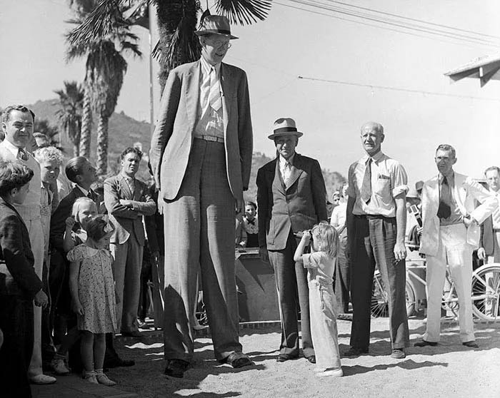 Роберт Уодлоу – самый высокий человек в истории