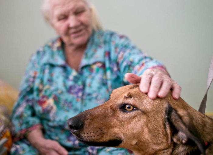 Собаки могут подарить пожилым людям массу положительных эмоций