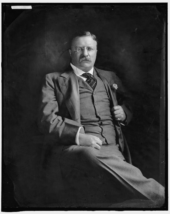 Фотопортрет Теодора Рузвельта, на который, возможно, опирался Маковский во время работы над полотном