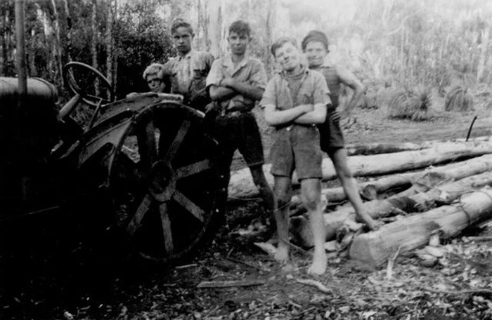 Дети-переселенцы работают на рубке леса, 1955 год, Австралия