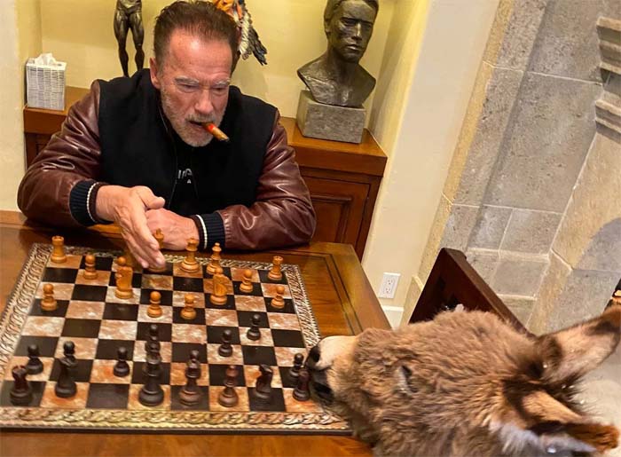 Арнольд Шварценеггер на карантине учит своего домашнего ослика играть в шахматы