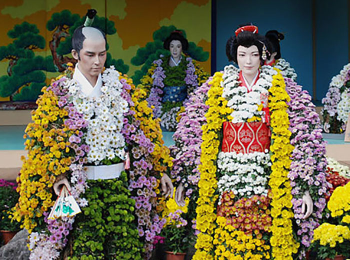 Хризантема имеет в японской мифологии божественное происхождение – цветок появился из упавшего на землю ожерелья Бога Неба Идзанаги
