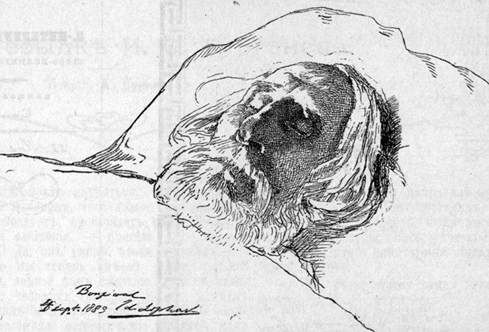 Иван Тургенев на смертном одре. Рисунок, набросанный в Буживале, в день кончины великого писателя, художником Е. Липгардтом