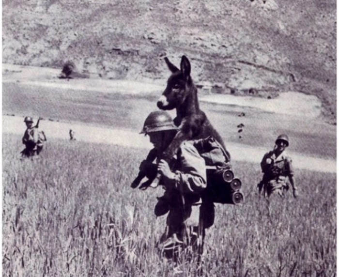Фото солдата с осликом на плечах