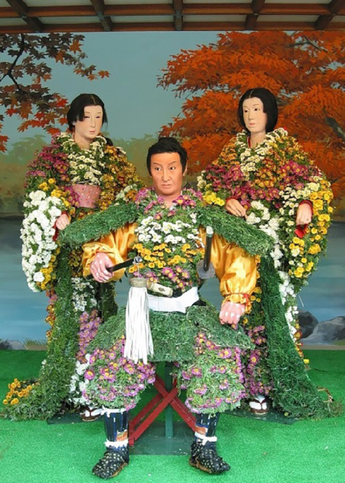 С 1910 года хризантема официально считается национальным цветком Японии
