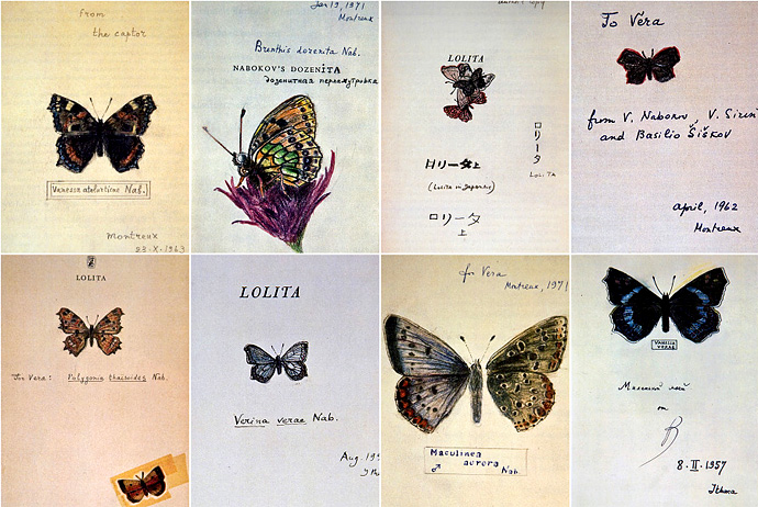 Бабочка - литературная визитка В. Набокова