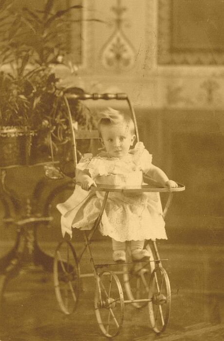 Феликс Юсупов в коляске Абрам Ясвоин, 1888 год. / Фото: www.selcdn.ru