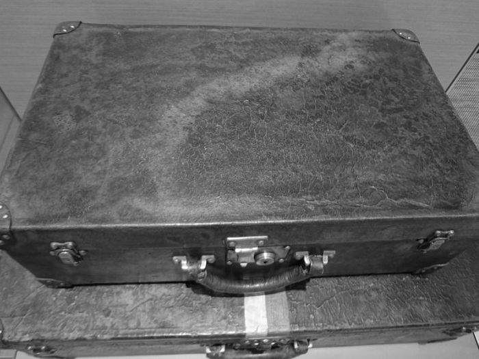 Первые чемоданы Trianon от фирмы Louis Vuitton. / Фото: www.wikipedia.org