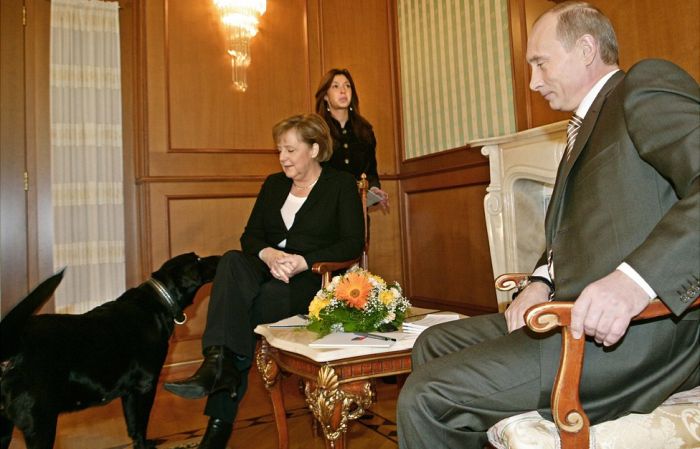 Лабрадор Кони знакомится с Ангелой Меркель. / Фото: www.nv.ua