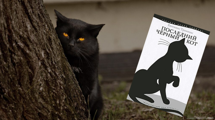 «Последний черный кот», Евгениос Тривизас.