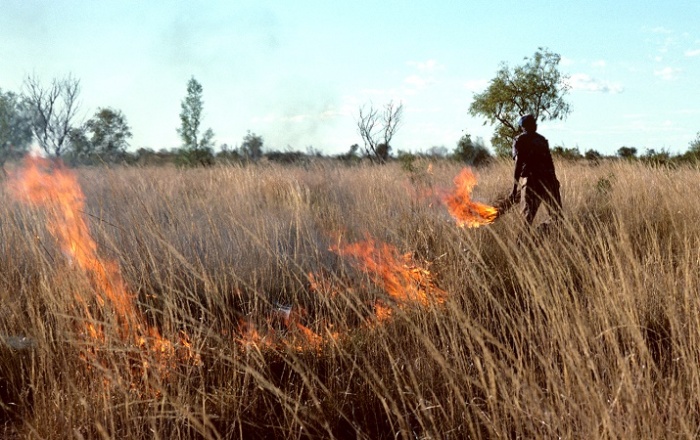 В Австралии хотят возобновить забытые практики «культурного выжигания» / Источник: mystoryaustralia.com