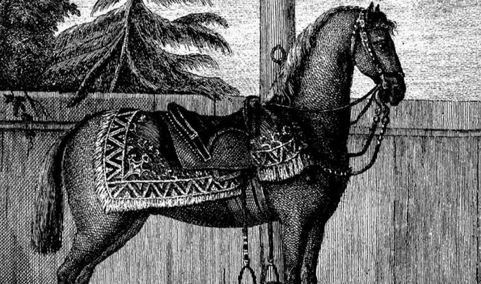 Лошадь Лизетта была величественна и красивы, отличалась своим непростым характером, но очень любила царя Петра I. / Фото:pulse.mail.ru