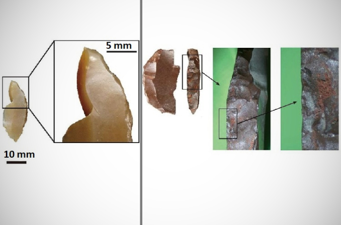 Одно из каменных изделий с притупленной спинкой, которое имеет ударный слом (слева) и органические остатки на одном из микролитов с притупленной спинкой / Источник: tohoku.ac.jp