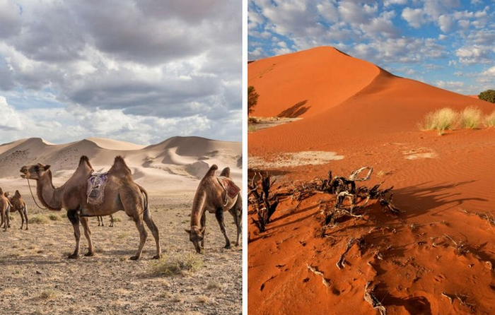 Песок в пустынях Гоби и Намиб разный.