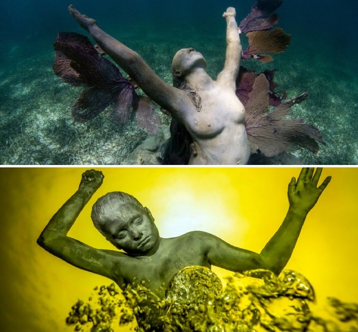 Подводные скульптуры несут не только эстетическую, но и социальную миссию.