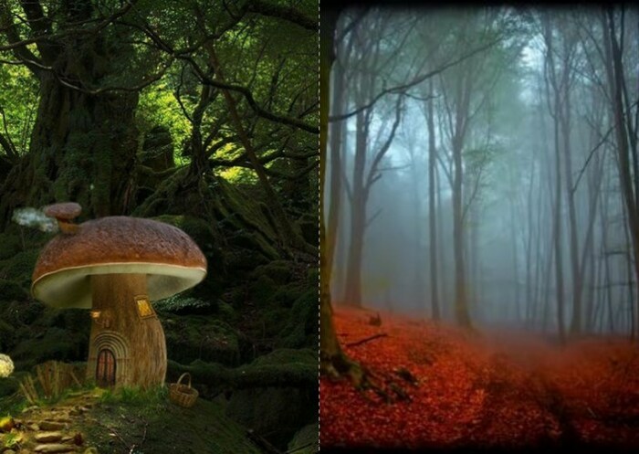 Шварцвальдский лес представляли сказочным и мистическим местом