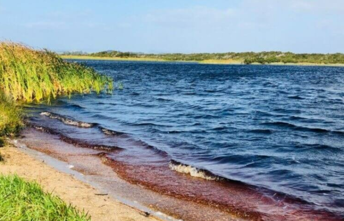 Пить воду в озере Араракуара нельзя, а вот при купании в нем лечебный эффект вполне возможен. / Фото:https://meta.ua 