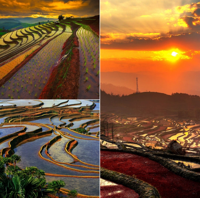 Рисовые террасы в Китае по-настоящему завораживающее зрелище