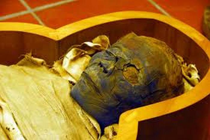 В деревянном ящика лежала мумия египетской прорицательницы, служившей фараону Аменхотепу IV. / Фото:rozavetrovsibir.ru