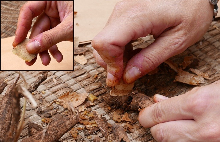 Примерно так мелкими резцами из кварцита первобытные люди из пещеры Кесем нарезали корнеплоды / Источник: was.media.com