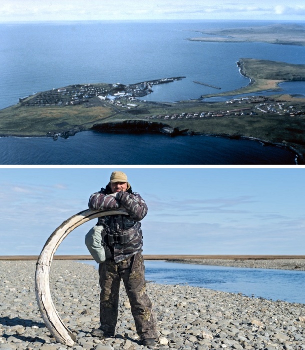 Остров Святого Павла (Аляска). Внизу – бивень мамонта, найденный на острове Врангеля (Россия).