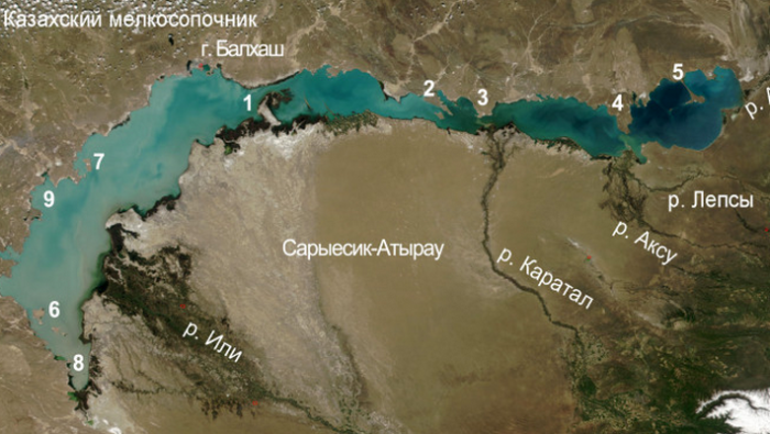 Озеро Балхаш расположено в Казахстане.