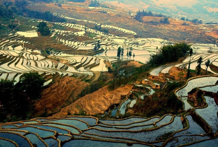 Рисовые террасы Хунхэ-Хани, Юаньян, Китай / Фото: http://udivitelno.com/