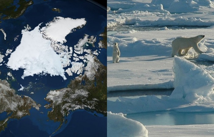 На Северном полюсе теплее, чем на Южном.