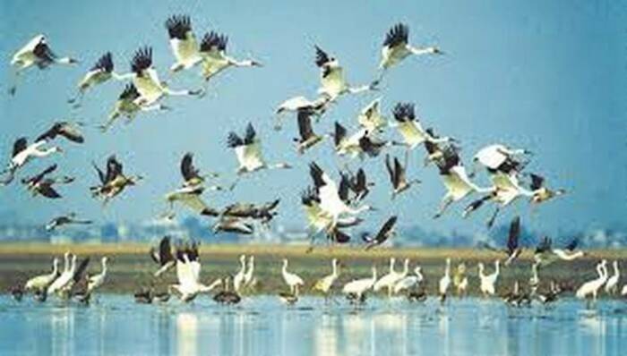 Это пресноводное озеро является место остановки для полумиллиона перелетных птиц. / Фото:shansbooks.ru