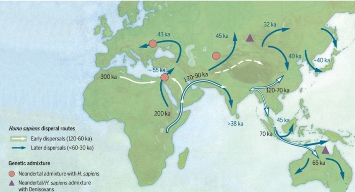 Схема расселения homo sapiens из  Африки в Европу, Азию и Австралию. / Источник: twitter.com