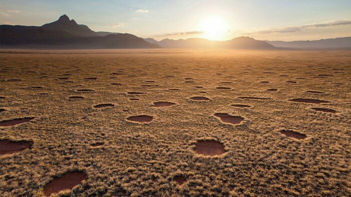 Ведьмины круги в пустыне Намиб. / Фото: popmech.ru