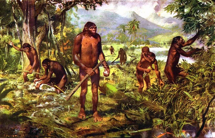 На определенном этапе эволюции предки людей стали объединяться в группы / Фото: znaj.ua