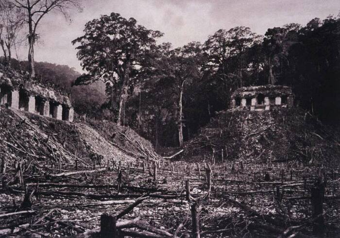 Альберт Рус увидел огромный древний город майя, пришедший в уныние. / Фото:liveinternet.ru 
