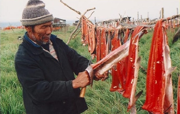 Многие северные народы вялят или сушат рыбу / Фото: culturalsurvival.org