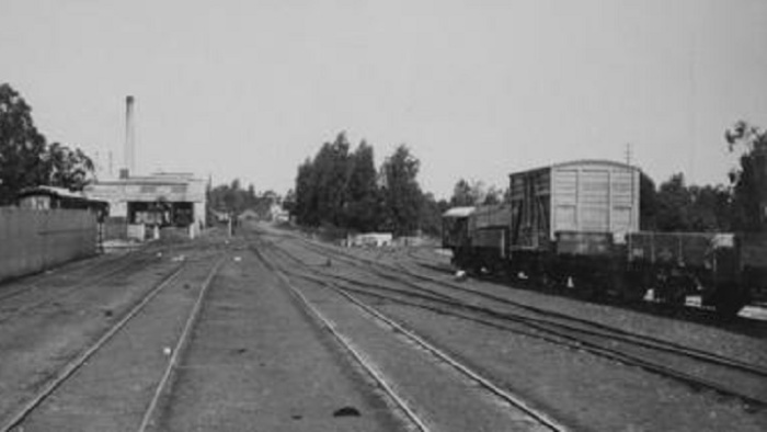 Uitenhage, 1895. Вид с поезда на станцию. Слева - хозяйственные помещения / Источник: atom.drisa.co.za
